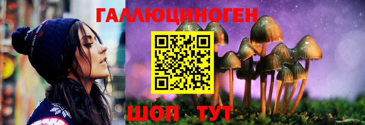 Галлюциногенные грибы ЛСД Пушкино