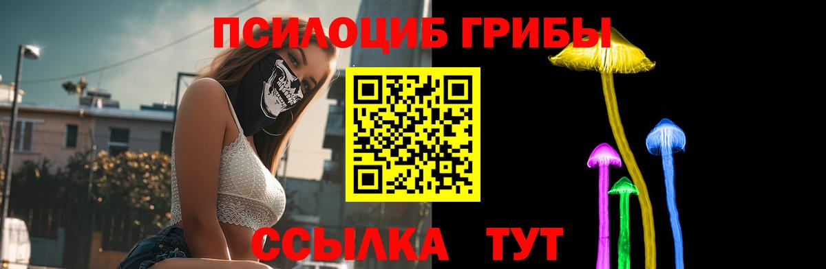 Пушкино  Псилоцибиновые грибы Psilocybine cubensis  Вход с VPN 